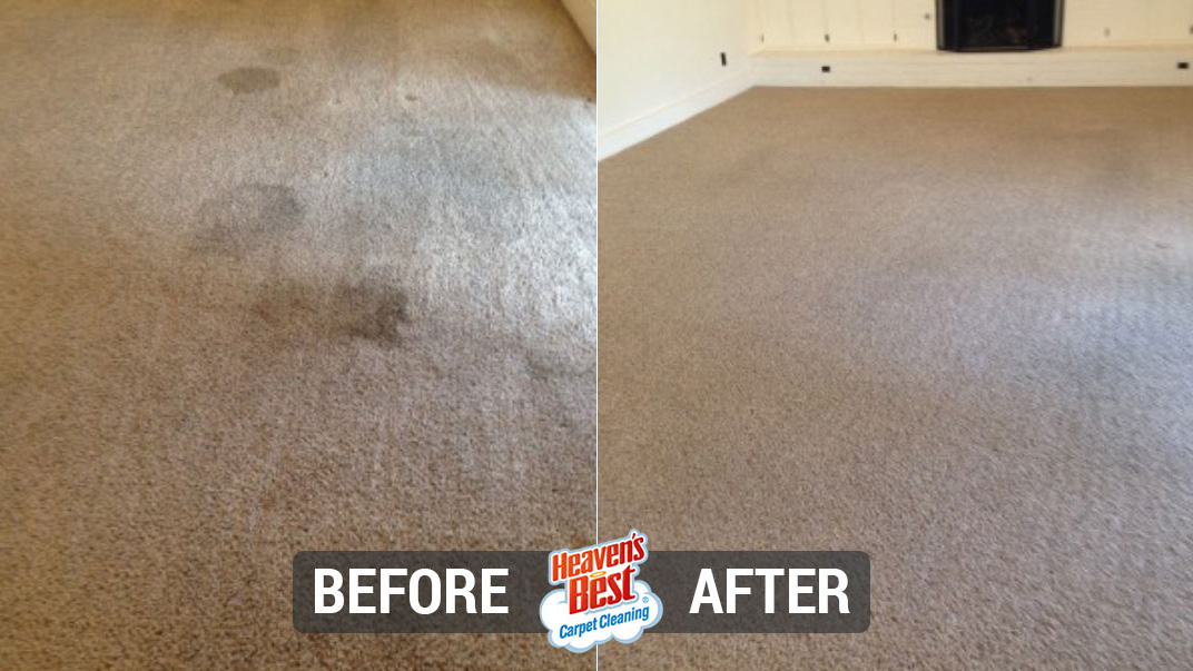 Heaven's Best Carpet Cleaning and Upholstery